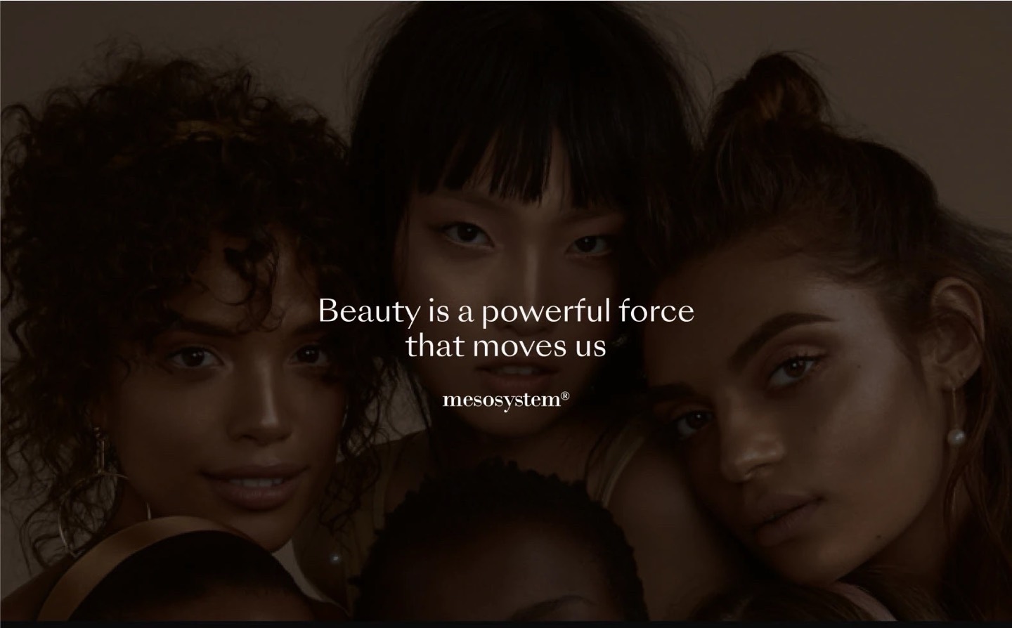 Mesosystem — beauty is a powerful force that moves us