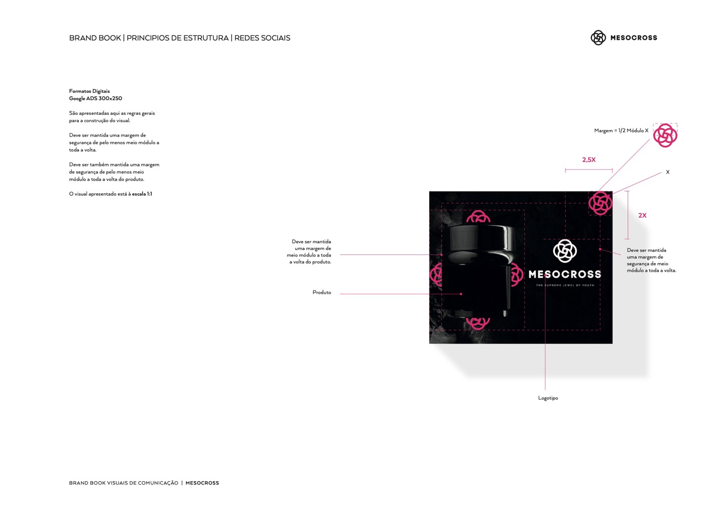 Digital formats — a 300 by 250 ad dimensioned against the same module